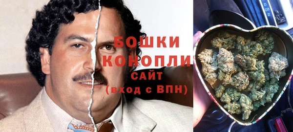эйфоретик Баксан