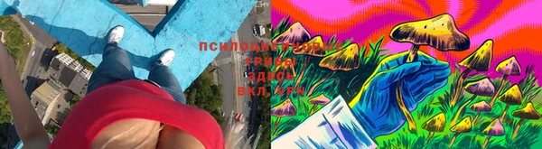 эйфоретик Баксан