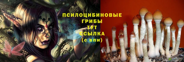 спиды Балахна