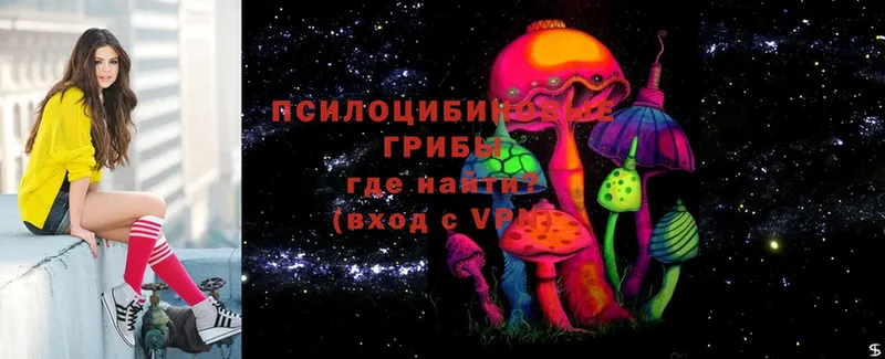 где купить наркотик  ссылка на мегу рабочий сайт  Псилоцибиновые грибы Cubensis  Воскресенск 