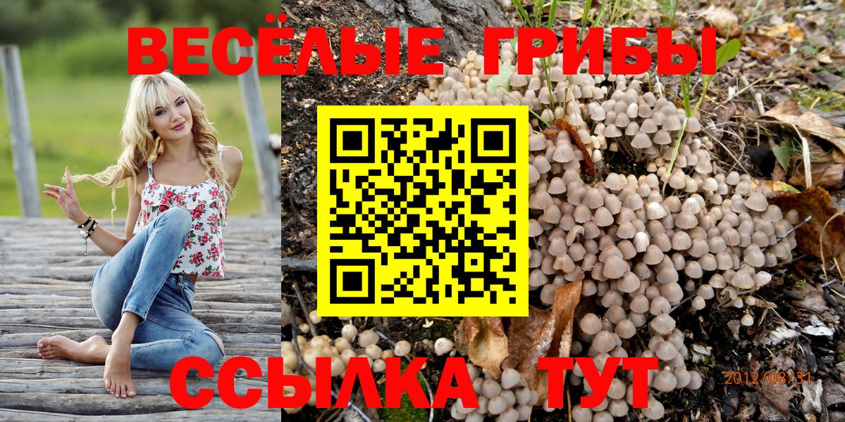 Галлюциногенные грибы мухоморы  Вход с VPN  Галлюциногенные грибы мицелий  Воскресенск 