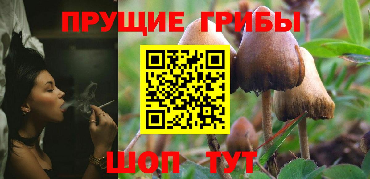 Галлюциногенные грибы MAGIC MUSHROOMS  Галлюциногенные грибы GOLDEN TEACHER  где продают   Воскресенск 